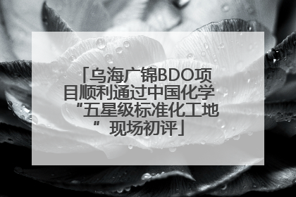 乌海广锦BDO项目顺利通过中国化学“五星级标准化工地”现场初评
