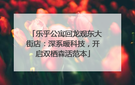 乐乎公寓回龙观东大街店：深系暖科技，开启双栖森活范本