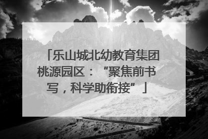 乐山城北幼教育集团桃源园区：“聚焦前书写，科学助衔接”