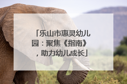 乐山市惠灵幼儿园：聚焦《指南》，助力幼儿成长