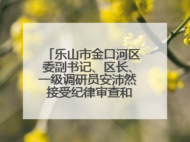 乐山市金口河区委副书记、区长、一级调研员安沛然 接受纪律审查和监察调查