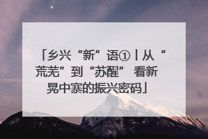 乡兴“新”语①丨从“荒芜”到“苏醒” 看新晃中寨的振兴密码