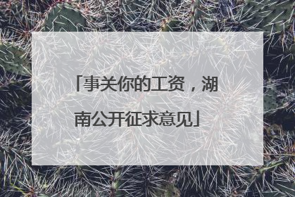 事关你的工资，湖南公开征求意见