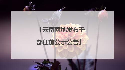 云南两地发布干部任前公示公告
