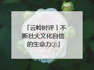 云岭时评丨不断壮大文化自信的生命力②