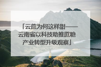 云蔗为何这样甜——云南省以科技助推蔗糖产业转型升级观察