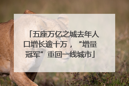 五座万亿之城去年人口增长逾十万，“增量冠军”重回一线城市
