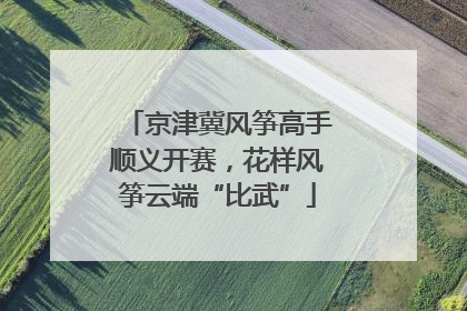 京津冀风筝高手顺义开赛，花样风筝云端“比武”