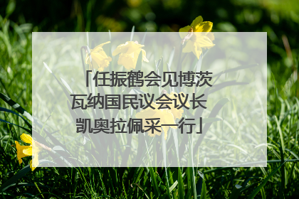 任振鹤会见博茨瓦纳国民议会议长凯奥拉佩采一行