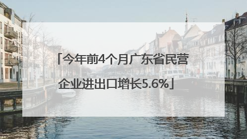 今年前4个月广东省民营企业进出口增长5.6%