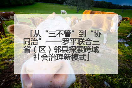从“三不管”到“协同治”——罗平联合三省（区）邻县探索跨域社会治理新模式