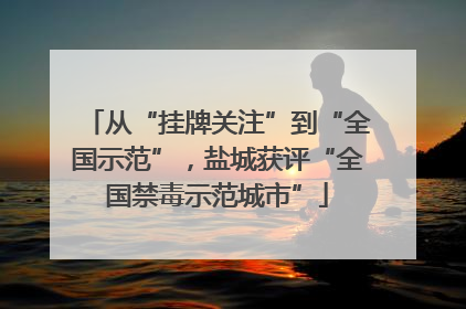 从“挂牌关注”到“全国示范”，盐城获评“全国禁毒示范城市”