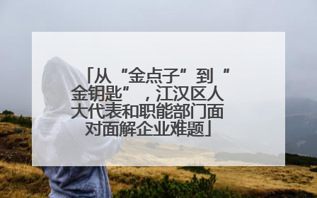 从“金点子”到“金钥匙”，江汉区人大代表和职能部门面对面解企业难题