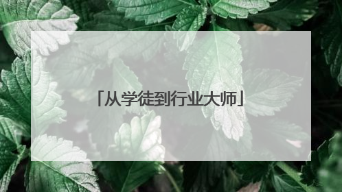 从学徒到行业大师