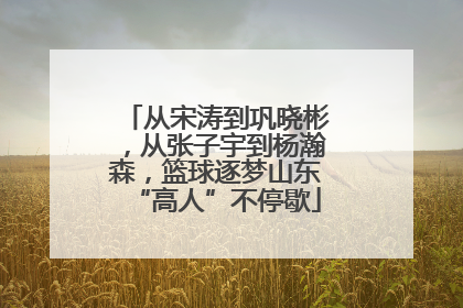 从宋涛到巩晓彬，从张子宇到杨瀚森，篮球逐梦山东“高人”不停歇