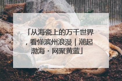 从海瓷上的万千世界，看懂滨州浪漫｜潮起渤海・网聚黄蓝
