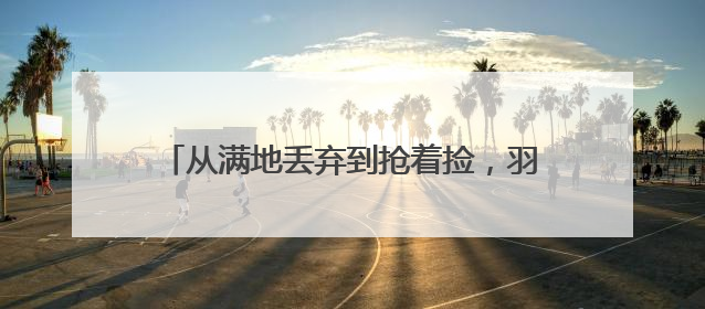 从满地丢弃到抢着捡，羽毛球涨价催热二手市场！
