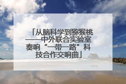 从脑科学到猕猴桃——中外联合实验室奏响“一带一路”科技合作交响曲