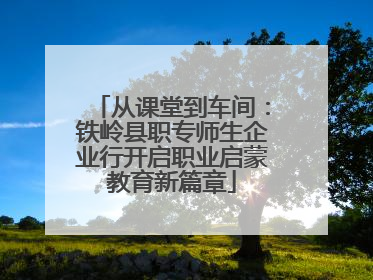 从课堂到车间：铁岭县职专师生企业行开启职业启蒙教育新篇章