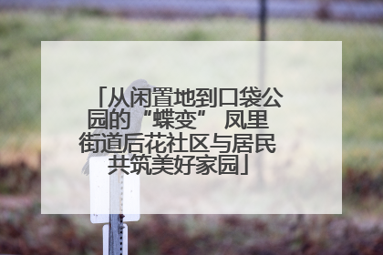 从闲置地到口袋公园的“蝶变” 凤里街道后花社区与居民共筑美好家园