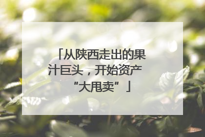 从陕西走出的果汁巨头，开始资产“大甩卖”