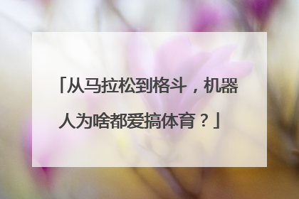 从马拉松到格斗，机器人为啥都爱搞体育？