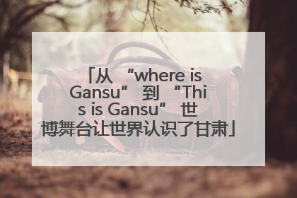 从 “where is Gansu” 到 “This is Gansu” 世博舞台让世界认识了甘肃