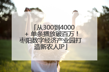 从300到4000+ 单条播放破百万！枣阳数字经济产业园打造新农人IP