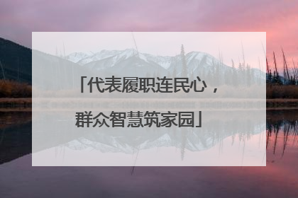 代表履职连民心，群众智慧筑家园