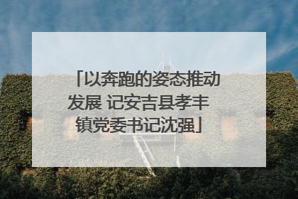 以奔跑的姿态推动发展 记安吉县孝丰镇党委书记沈强