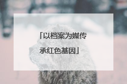 以档案为媒传承红色基因