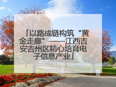 以路成链构筑“黄金走廊”——江西吉安吉州区精心培育电子信息产业