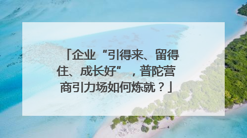 企业“引得来、留得住、成长好”，普陀营商引力场如何炼就？