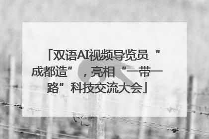 双语AI视频导览员“成都造”，亮相“一带一路”科技交流大会