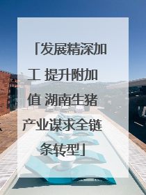 发展精深加工 提升附加值 湖南生猪产业谋求全链条转型