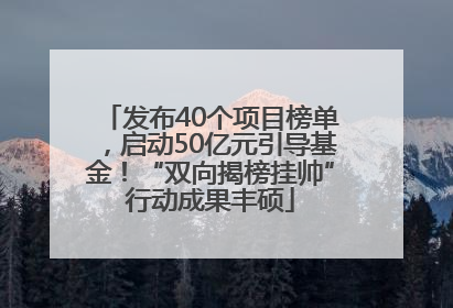 发布40个项目榜单，启动50亿元引导基金！“双向揭榜挂帅”行动成果丰硕