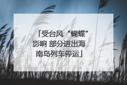 受台风“蝴蝶”影响 部分进出海南岛列车停运
