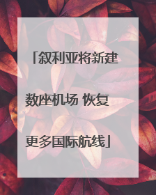 叙利亚将新建数座机场 恢复更多国际航线