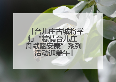 台儿庄古城将举行“粽情台儿庄 舟歌赋安康”系列活动迎端午