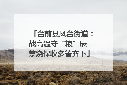 台前县凤台街道：战高温守“粮”辰 禁烧保收多管齐下