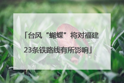 台风“蝴蝶”将对福建23条铁路线有所影响