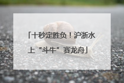 十秒定胜负！沪浙水上“斗牛”赛龙舟