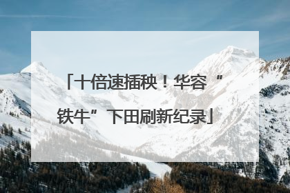 十倍速插秧！华容“铁牛”下田刷新纪录