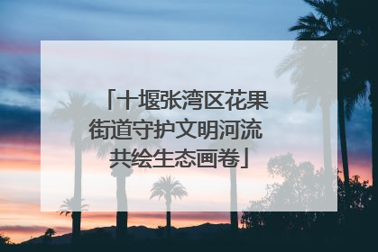 十堰张湾区花果街道守护文明河流 共绘生态画卷