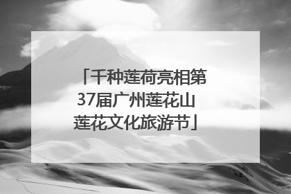 千种莲荷亮相第37届广州莲花山莲花文化旅游节