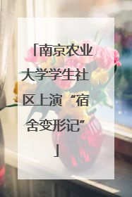 南京农业大学学生社区上演“宿舍变形记”