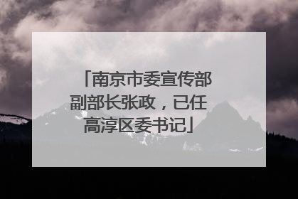 南京市委宣传部副部长张政，已任高淳区委书记