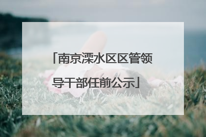 南京溧水区区管领导干部任前公示