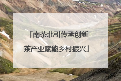 南茶北引传承创新 茶产业赋能乡村振兴