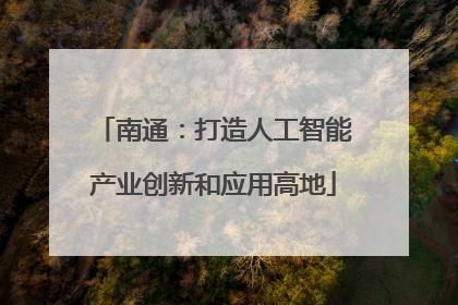 南通：打造人工智能产业创新和应用高地